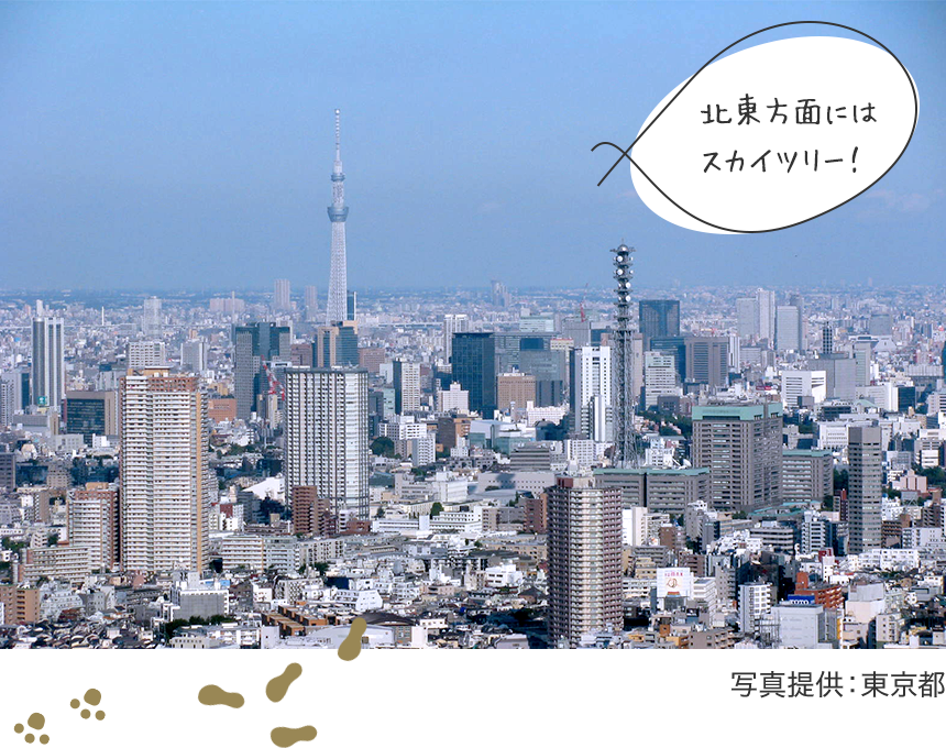 It is the Skytree in the northeast area!　Photo courtesy: Tokyo