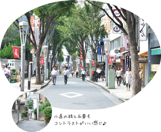 Green and stone pavement of path seem to have good contrast, too♪