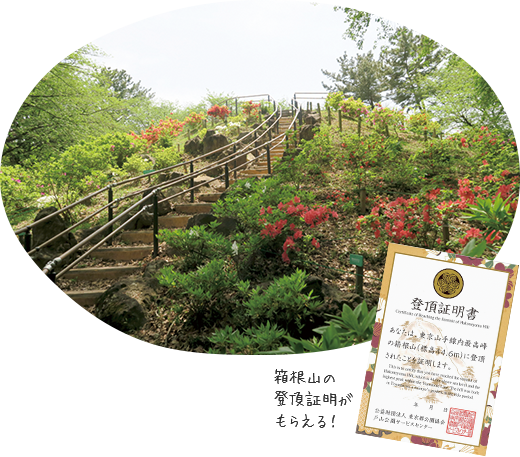 You can get the climbing proof of Mount Hakone!